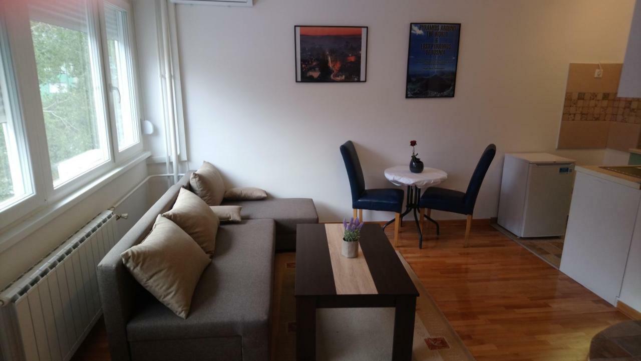 Apartman Brand New - *